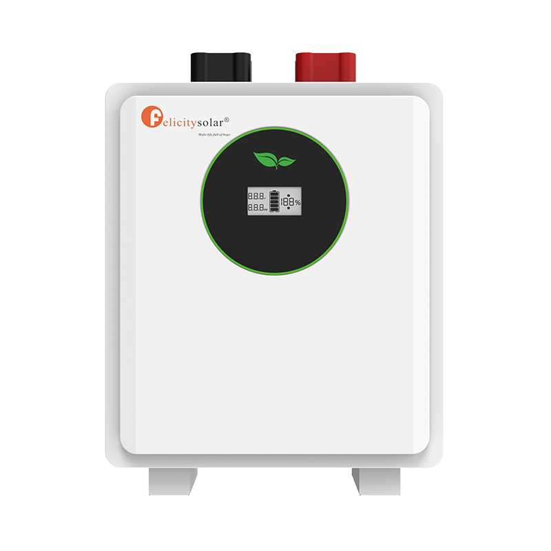Felicity Lithium Battery FLA 24100WG2