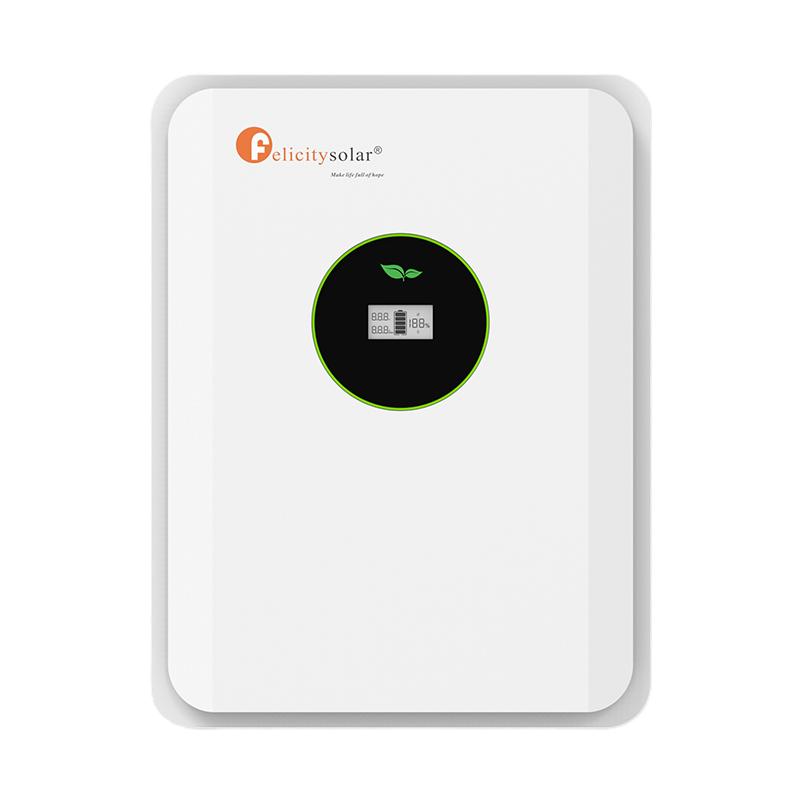 Felicity Lithium Battery FLA24230-EU