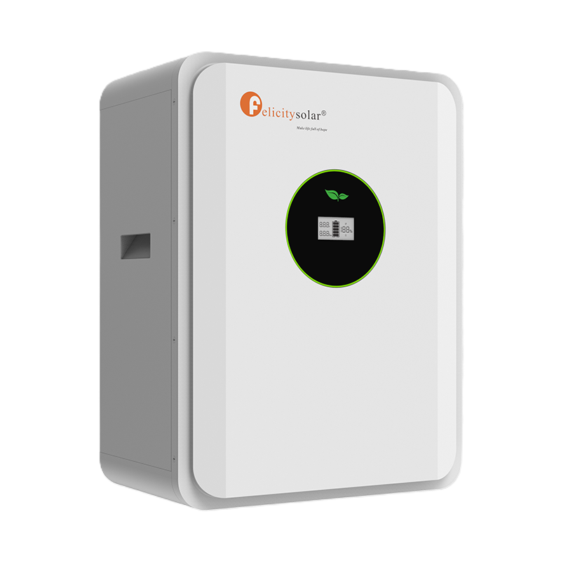 Felicity Lithium Battery FLA24230-EU