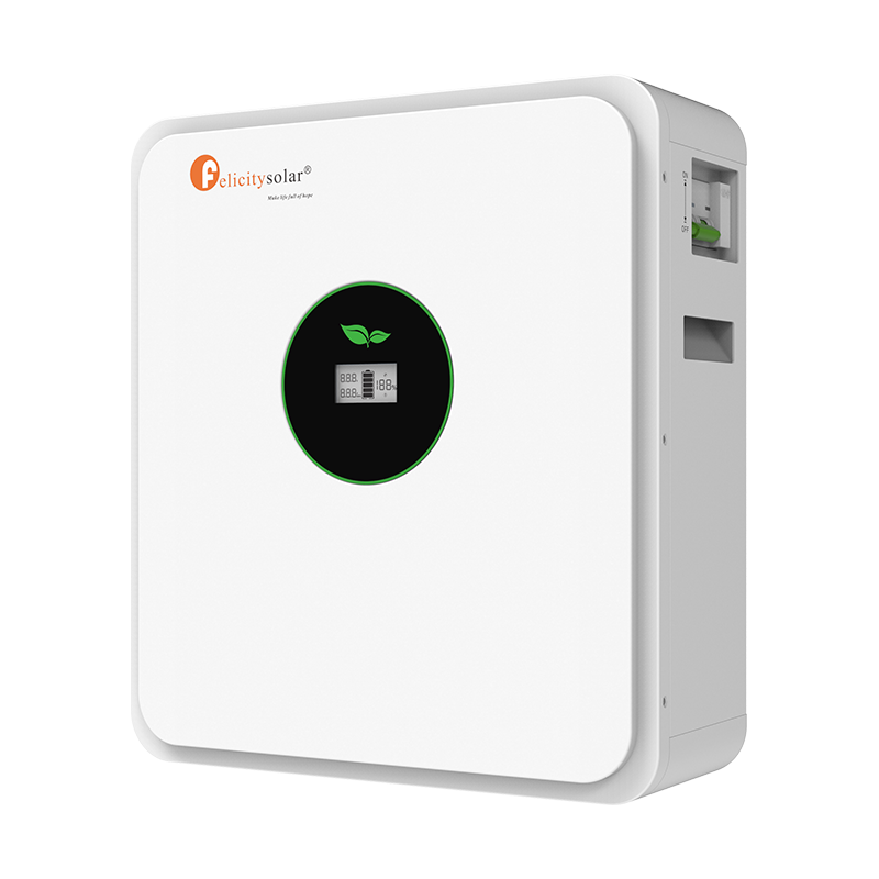  Felicity Lithium Battery FLA 24200