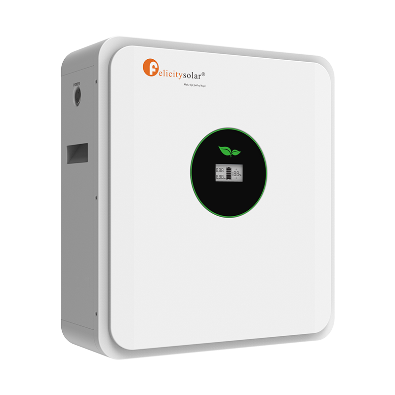  Felicity Lithium Battery FLA 24200